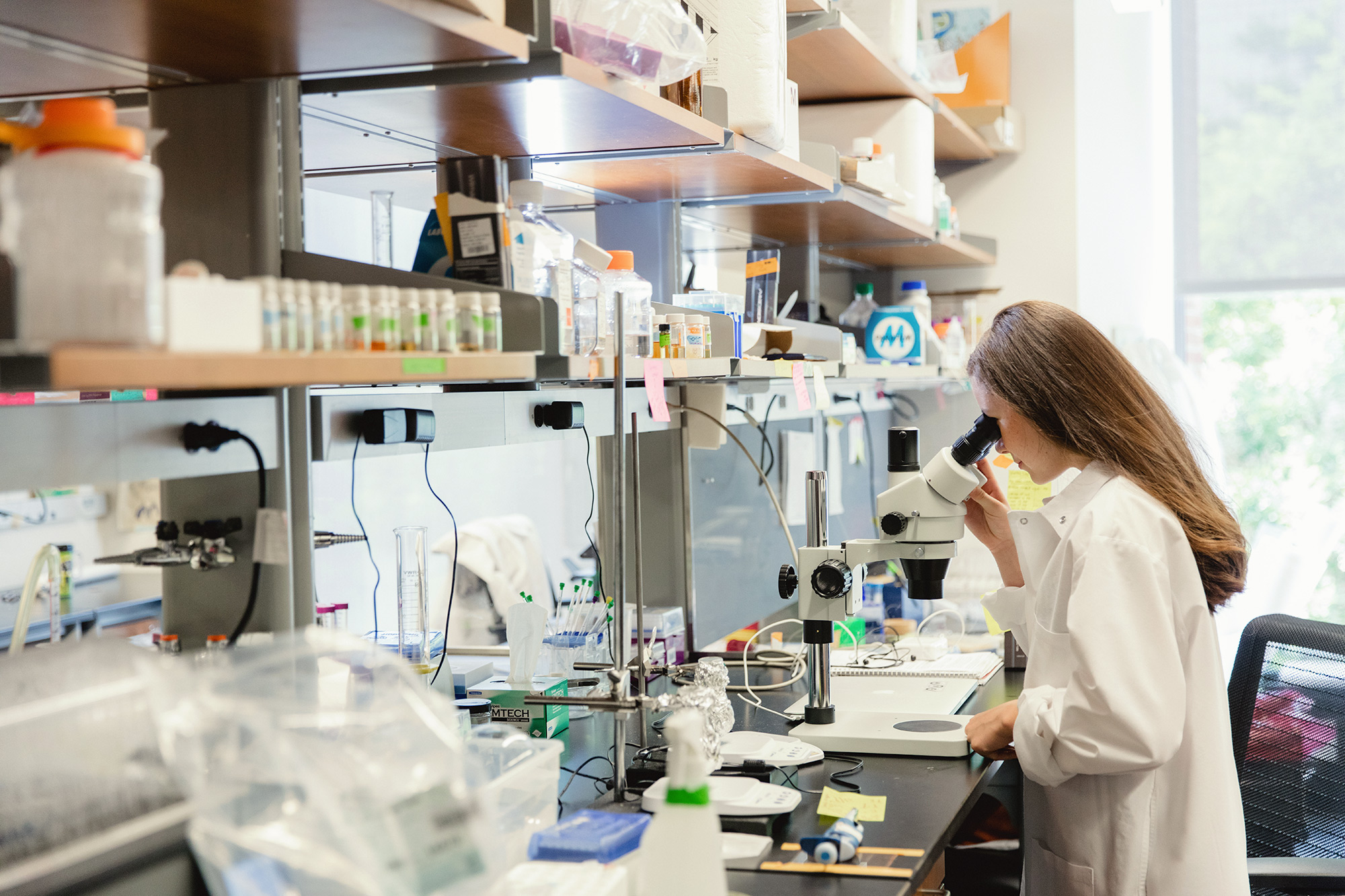 Science Degree Guide - Education Advisors